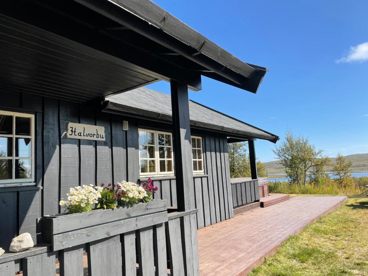 Torsetlia And Holiday park 3*